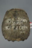 Turtle Shell Advertising