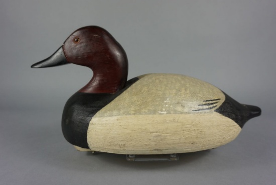 Canvasback from Wildfowler Decoy Co