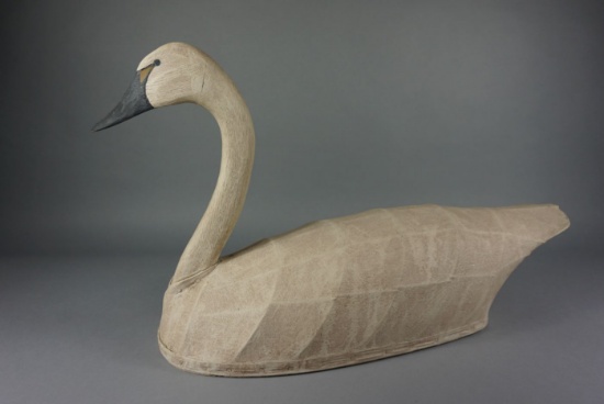Swan by Ron Vick