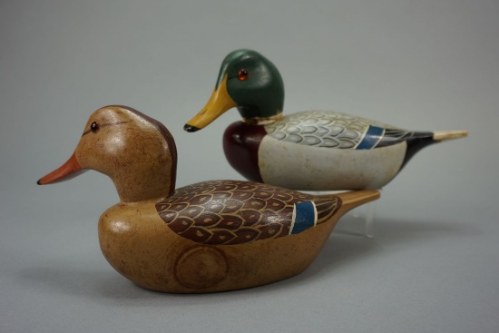 Mallards by Dot Quillen