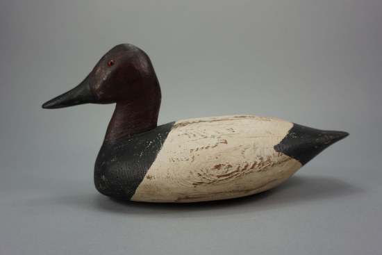 Canvasback by Winton Thompson