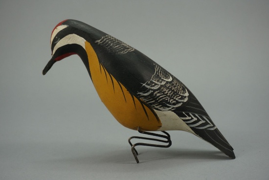 Woodpecker by Zack Ward