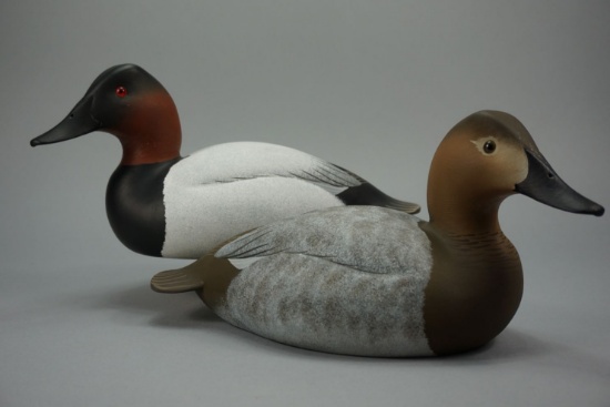 Canvasbacks by Oliver Lawson