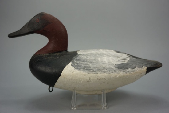 Canvasback by W. Scott Jackson