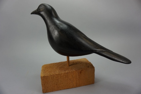Crow by Vernon Burg