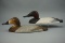 CANVASBACKS BY CHARLIE JOINER