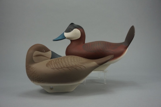 RUDDY DUCKS BY CHARLES BRYAN