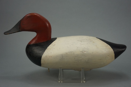 CANVASBACK BY JAMES BAINES