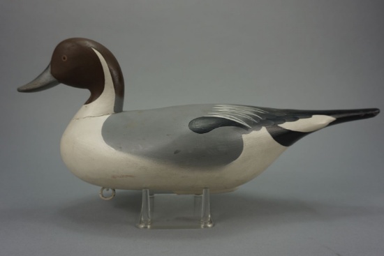 PINTAIL BY CHARLIE BRYAN