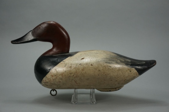 CANVASBACK BY PAUL GIBSON