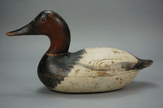 CANVASBACK FROM THE MASON DECOY FACTORY