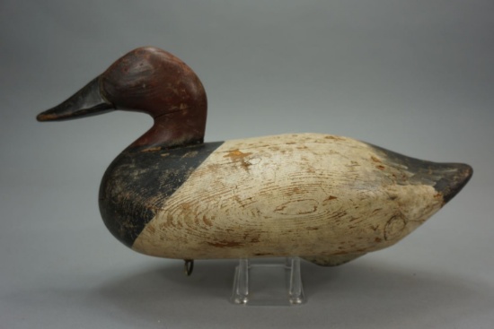 CANVASBACK BY MADISON MITCHELL