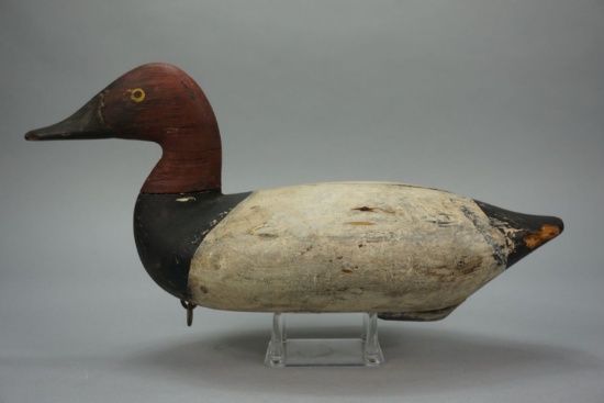 CANVASBACK BY ED PEARSON