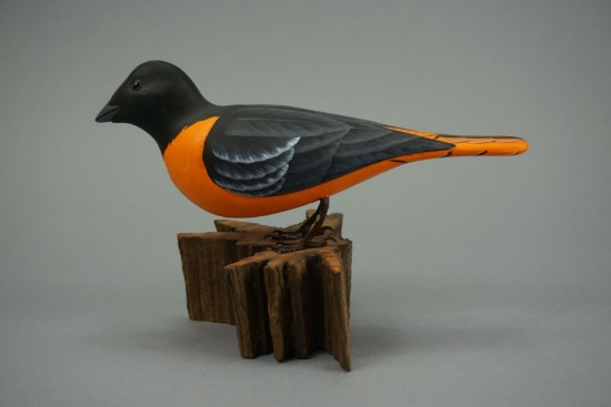 ORIOLE BY PETER CODD