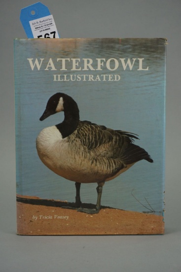WATERFOWL ILLUSTRATED