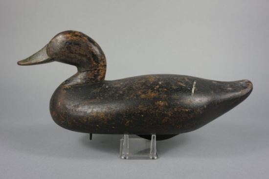 BLACKDUCK BY R MADISON MITCHELL