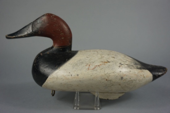 CANVASBACK BY R MADISON MITCHELL