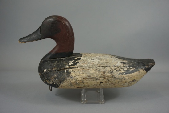 CANVASBACK BY CAPT JESS URIE