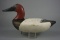 CANVASBACK FROM HdG, MD