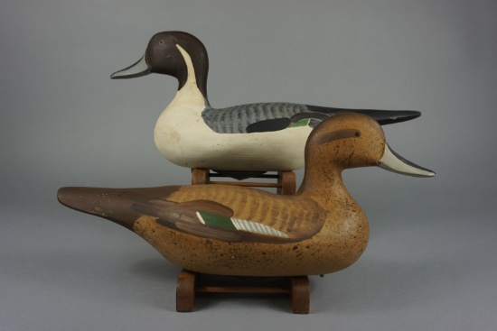 PR. PINTAILS BY RON LABOR