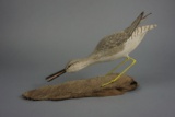 DECORATIVE YELLOW LEGS BY ROY L. WHITE