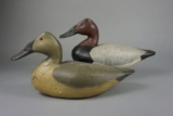 CANVASBACK PAIR BY FRED WATERFIELD