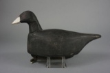 COOT BY UNKNOWN MAKER