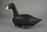 COOT BY UNKNOWN MAKER