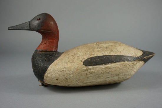 CANVASBACK BY CAPT. JOSH TRAVERS