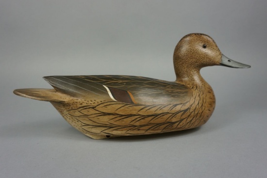 PINTAIL BY WILL GOENNE