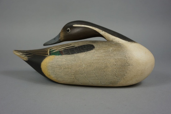 PINTAIL BY KEN KIRBY