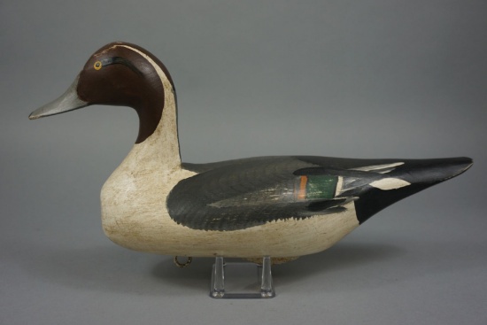PINTAIL BY CAPT HARRY JOBES