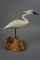 EGRET BY ROE TERRY