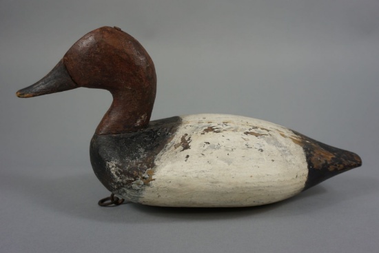 CANVASBACK BY ED PARSONS