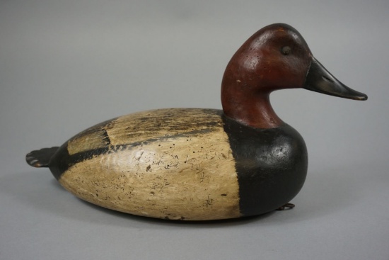 CANVASBACK BY MARK DAISEY