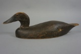 BLACKDUCK FROM CANADA