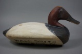 CANVASBACK FROM THE SUSQ. RIVER