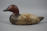 CANVASBACK BY GEORGE PETERSON