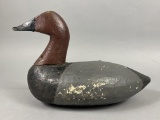 Canvasback from NC