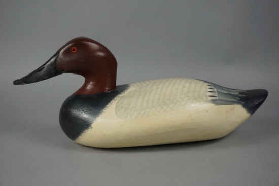 CANVASBACK BY CAPT HARRY JOBES