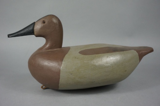 CANVASBACK BY RALPH PYLE
