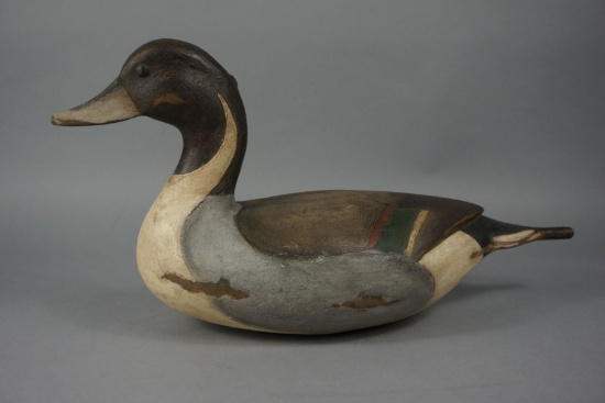 PINTAIL BY BRUCE EPPARD