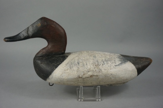 CANVASBACK BY HERB BARNES