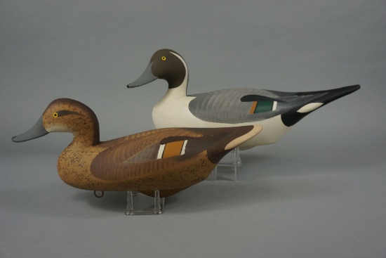 PINTAILS BY R. MADISON MITCHELL