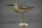 YELLOWLEGS BY DELBERT 