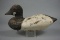 GOLDENEYE FROM TALBOT CO. MD