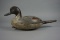 PINTAIL IN THE HUDSON STYLE