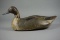 PINTAIL FROM CRISFIELD, MD