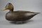 BLACK DUCK BY MILES HANCOCK