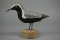 BLACK BELLIED PLOVER BY IRA JAMES THORNES